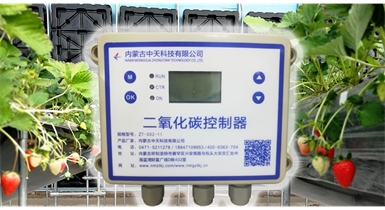 中國北方CO?新技術(shù)，將促進(jìn)農作物光合作用和光合產(chǎn)物的生成