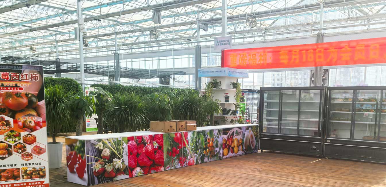 自治區(qū)綠色優(yōu)質果蔬展銷中心psd-恢復的_12.jpg 自治區(qū)綠色優(yōu)質果蔬展銷中心psd-恢復的_12.jpg