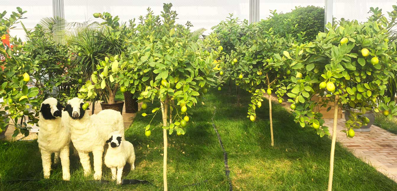 自治區(qū)綠色優(yōu)質果蔬展銷中心psd-恢復的_13.jpg 自治區(qū)綠色優(yōu)質果蔬展銷中心psd-恢復的_13.jpg