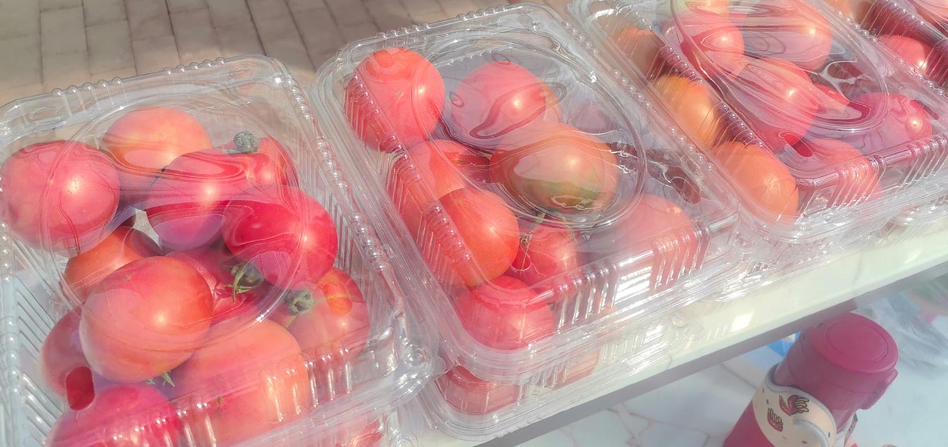 自治區(qū)綠色優(yōu)質果蔬展銷中心psd-恢復的_17.jpg 自治區(qū)綠色優(yōu)質果蔬展銷中心psd-恢復的_17.jpg