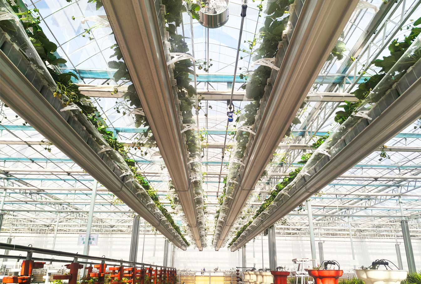 自治區(qū)綠色優(yōu)質果蔬展銷中心psd-恢復的_28.jpg 自治區(qū)綠色優(yōu)質果蔬展銷中心psd-恢復的_28.jpg